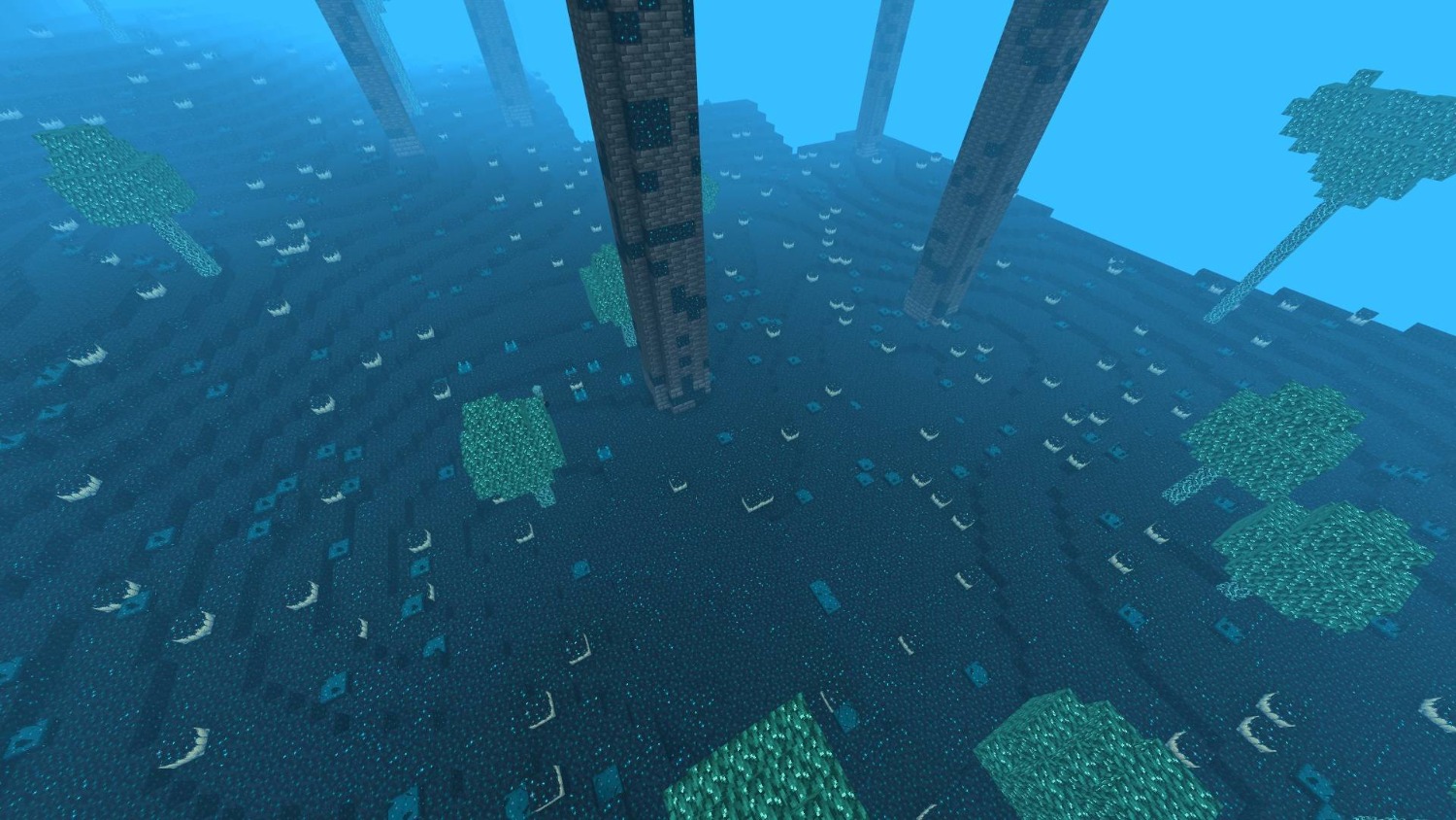 1000015890.jpg